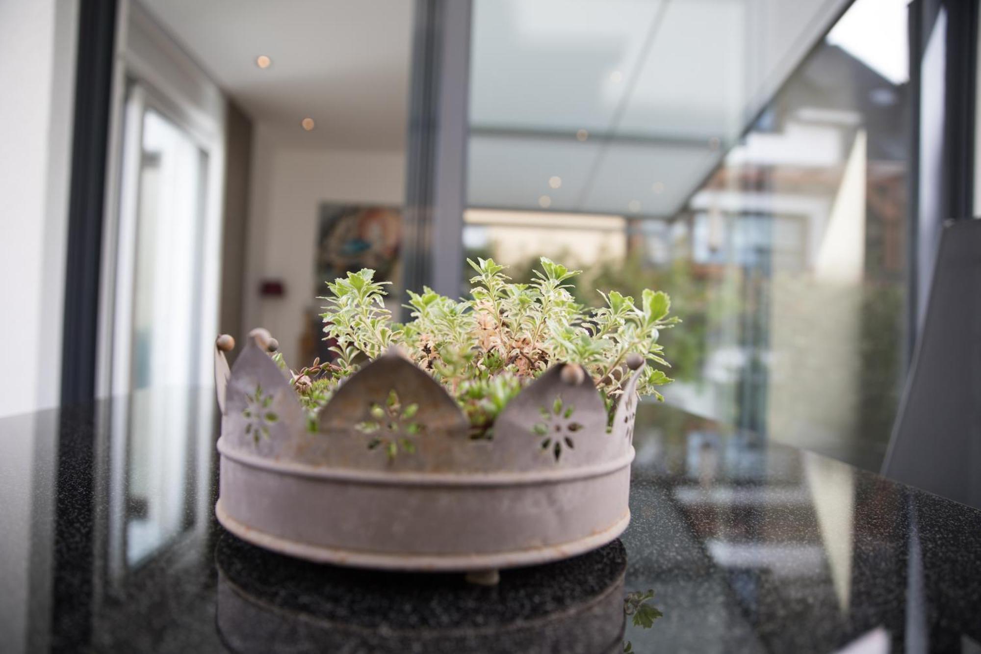 Apartment Neu - Moselauszeit *